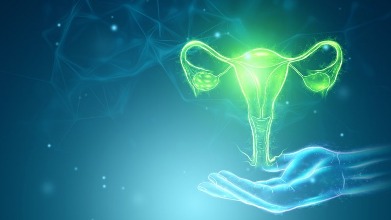 Genital Estetik Ameliyatları