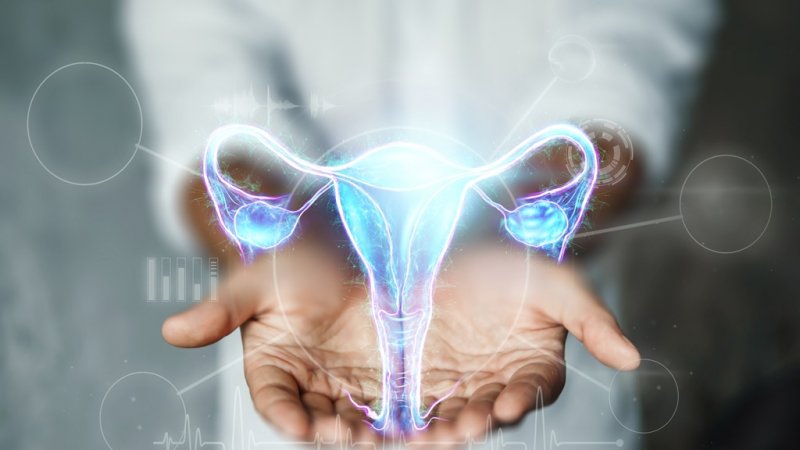 Lazerle Yapılan Genital Estetik Ameliyatlar Nelerdir?