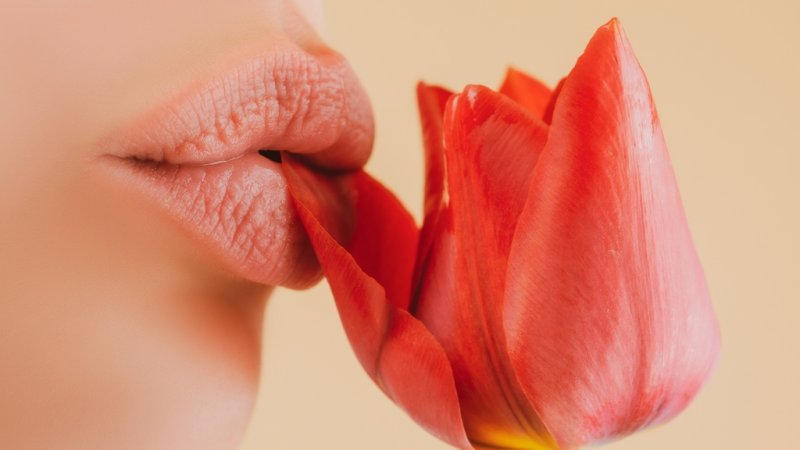 Kadın Genital Estetik Operasyonları Artıyor Mu?