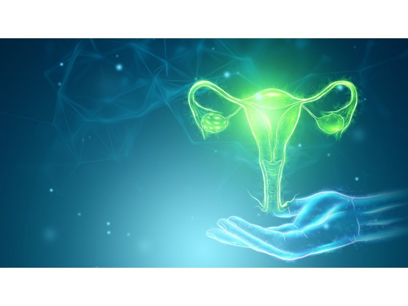 Genital Estetik Hakkında Bilinmesi Gereken Her Şey