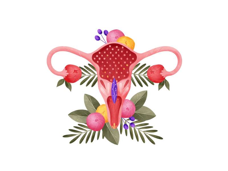 Vajinaya Estetik Yapılır mı?