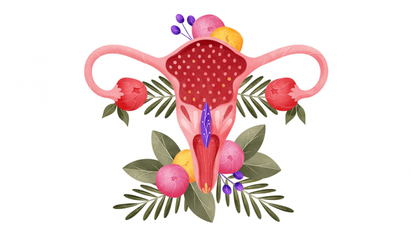 Vajinaya Estetik Yapılır mı?