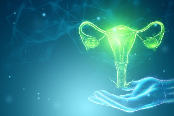 Genital Estetik Hakkında Bilinmesi Gereken Her Şey