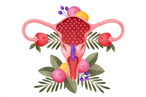 Vajinaya Estetik Yapılır mı?